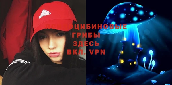 метадон Арсеньев