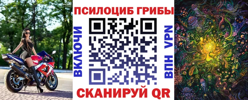 Псилоцибиновые грибы прущие грибы  Калач 